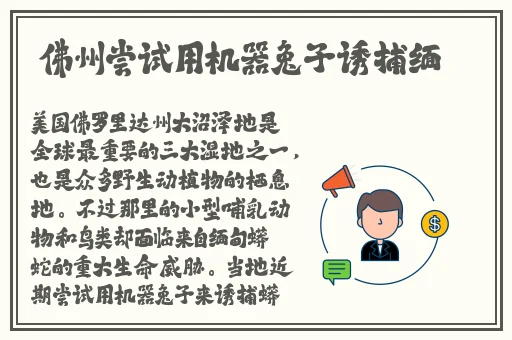 水蜜桃网站